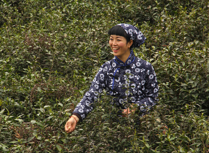 香烟独白 一对一